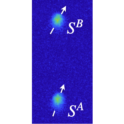 Entangled Bose-Einstein condensates